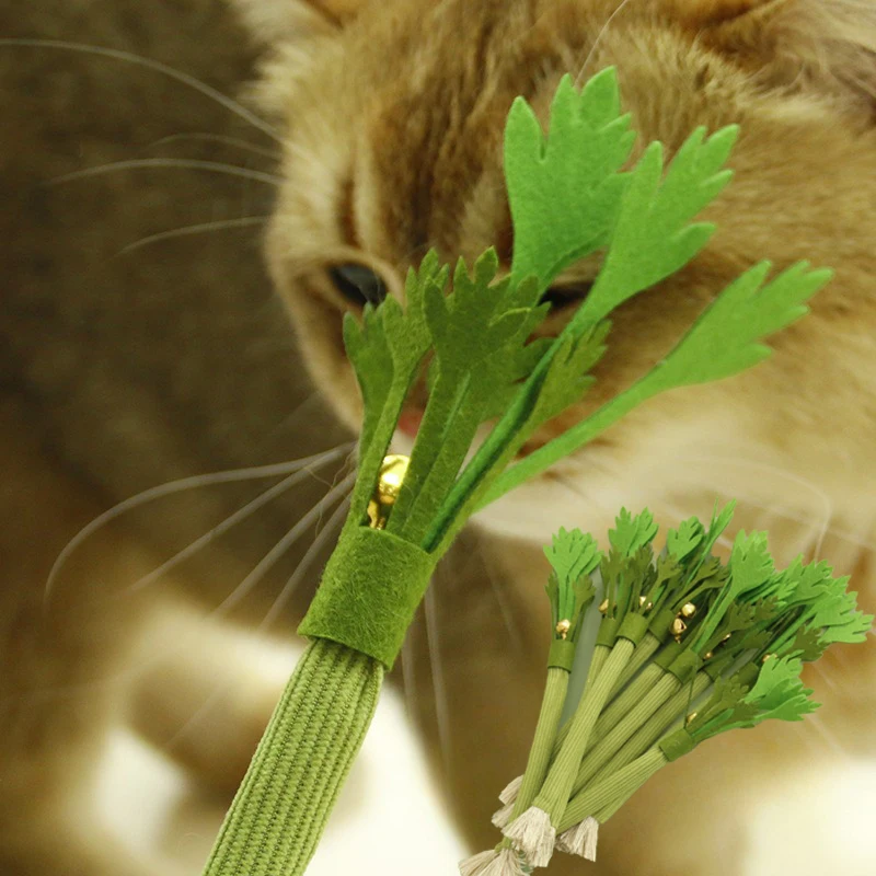 Juguete para masticar para gatos, juguete interactivo resistente a mordeduras para limpieza de dientes de gatito, rompecabezas para gatos, juguete de entrenamiento con sonido, suministros para mascotas