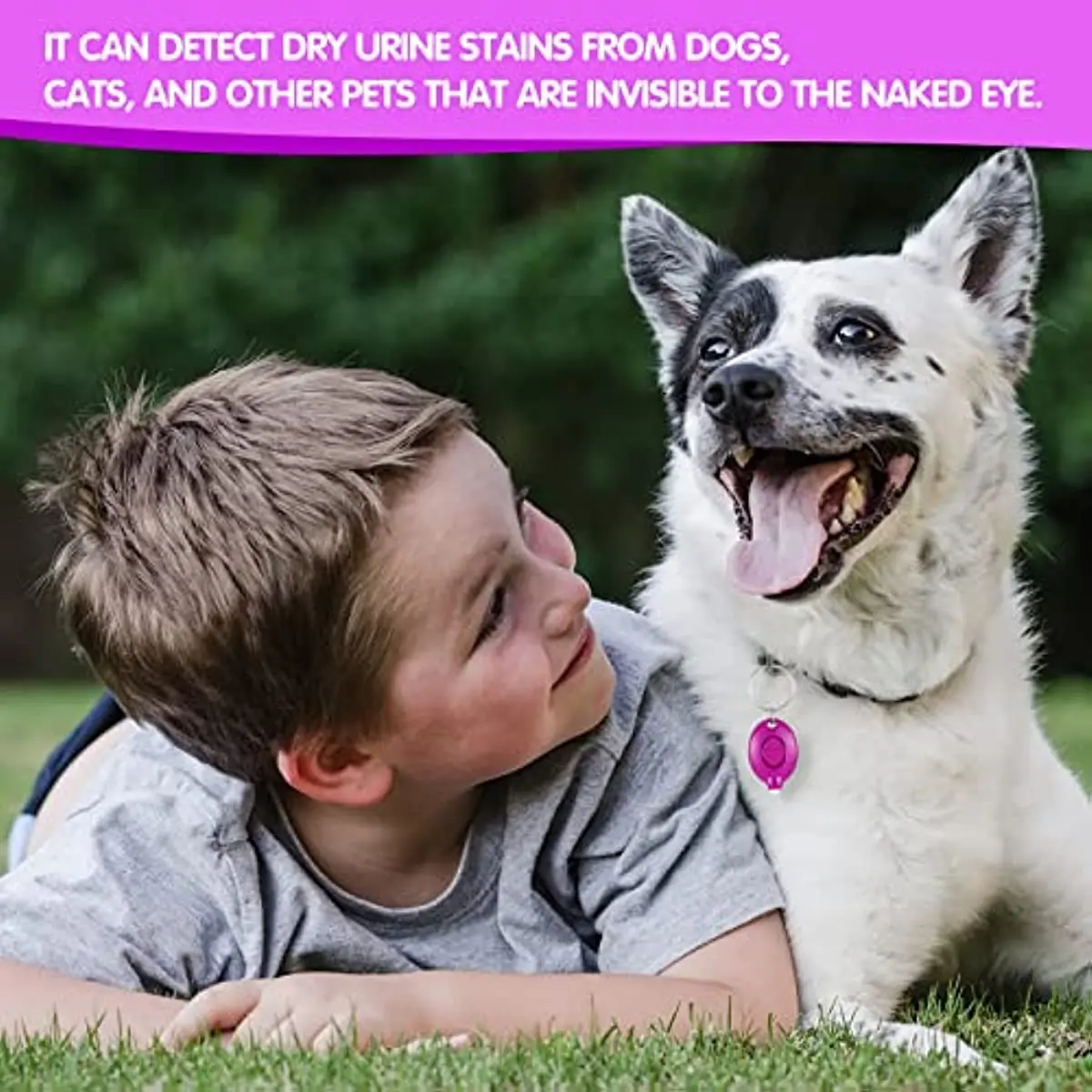 For Pet Urine Mini UV Flashlight 395nm Black Light Keychain Flashlight Ultraviolet Key Ring Torch UV Light Keychain Lights