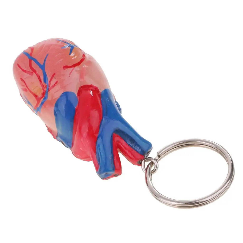 Small Human Heart Keychain PVC Anatomical Model School Teaching Supplies Halloween Decor for Classroom Biology