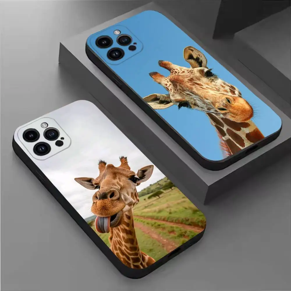 

GiraffeS Funny Animal Phone Case For iPhone 11,12,13,14,15,16,17,Pro,Max,Plus,E,SE4,Air,Mini Black Soft Cover
