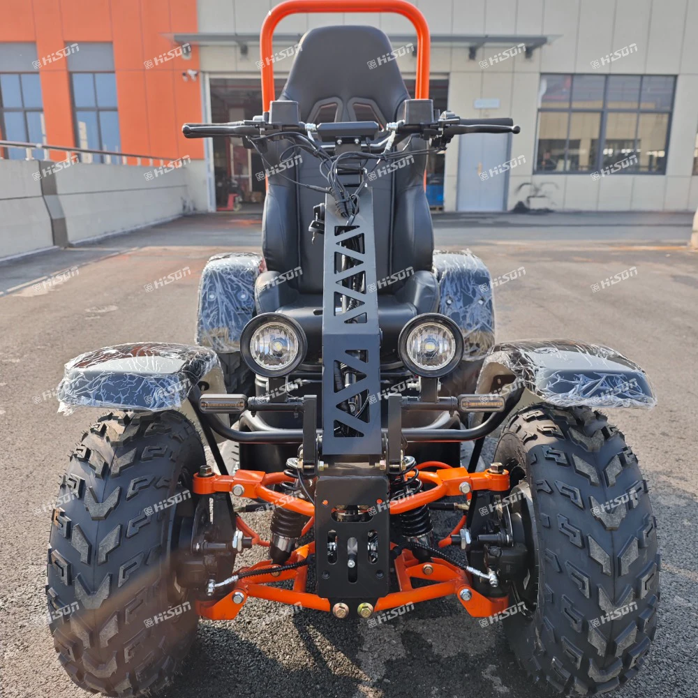 Multi Functional Off Road Electric Scooter Accept Custom Speed Adjust 6000W Motor Speed 75km/hour Suit For Disabled Adult
