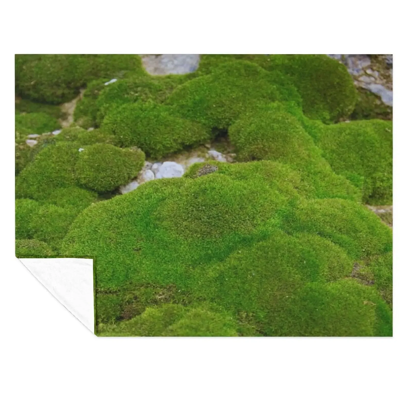 

World of Moss II Throw Blanket Large Cute Nap Vintage Blankets