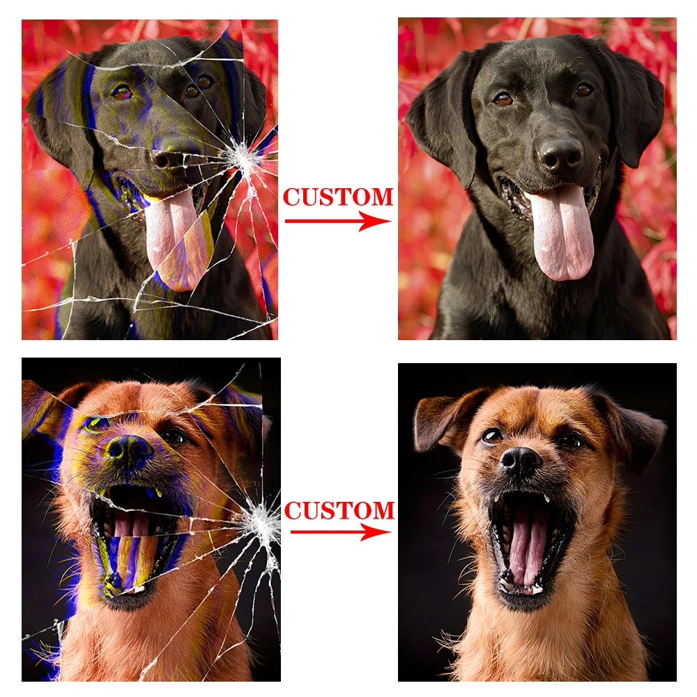 

Custom Pet Dog Cat Photo Animals Funny Poster Wall Art Canvas Painting Wall Pictures For Living Room Decor Posters Unframed