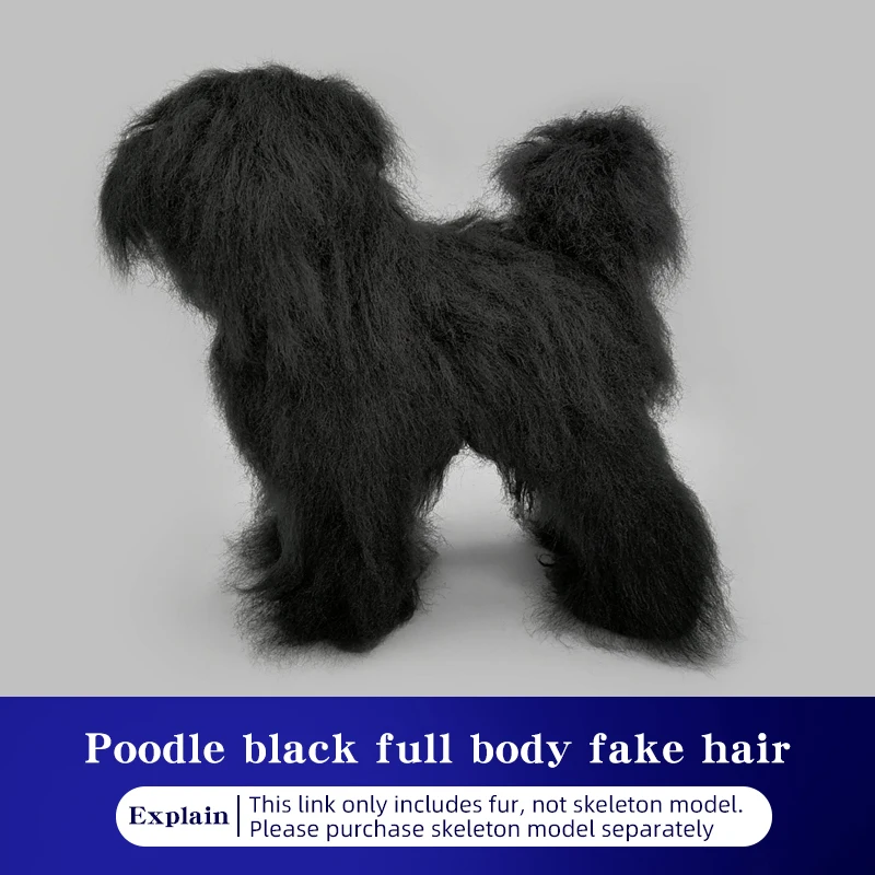 Pet Simulation Hair Beauty Fake Beautician Practicing Dog Standard Poodle Full Body Skeleton Model Dog for Pet Grooming image 3