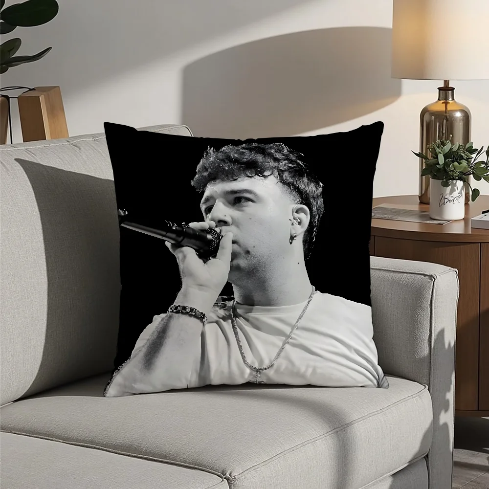 Singer Q-Quevedo Buenas Noches Pillow Case Plush Fabric Soft  Pillowcase Double Sided Print Cushion Cover Household Gifts