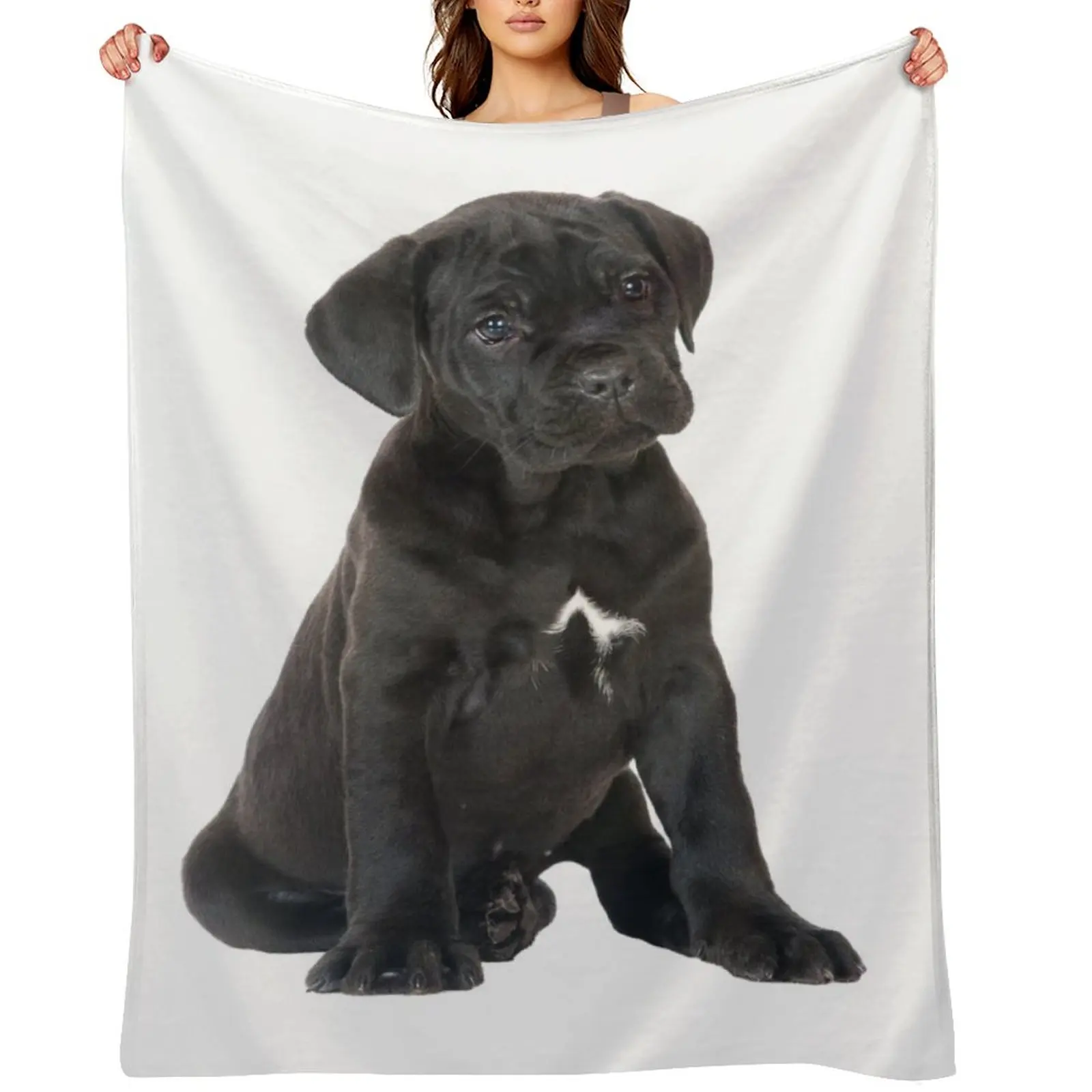 

Cane Corso Puppy Throw Blanket Decorative Beds Loose Soft Plaid Thin Blankets