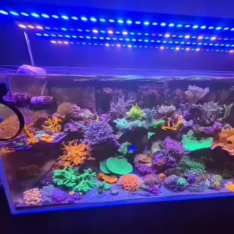 

8/10/12H Timing Fish Tank Light Led Dimming Aquarium Lamp