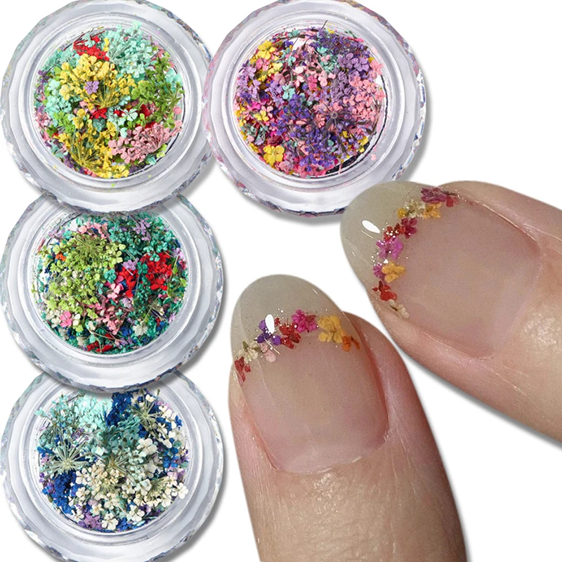 Requintado flor seca para Nail Art decoração, flor delicada, beleza encantos acessórios, 1 caixa