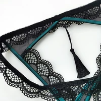 Europe and the United States sexy lace sex appeal underwear open the temptation perspective thin briefs lady underwear women 4