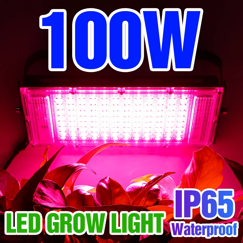 

LED Grow Light Phytolamps Plant Floodlight 220V Full Spectrum Hydroponic Lamp Veg Flowering Growth Lamp Greenhouse Grow Tent Box