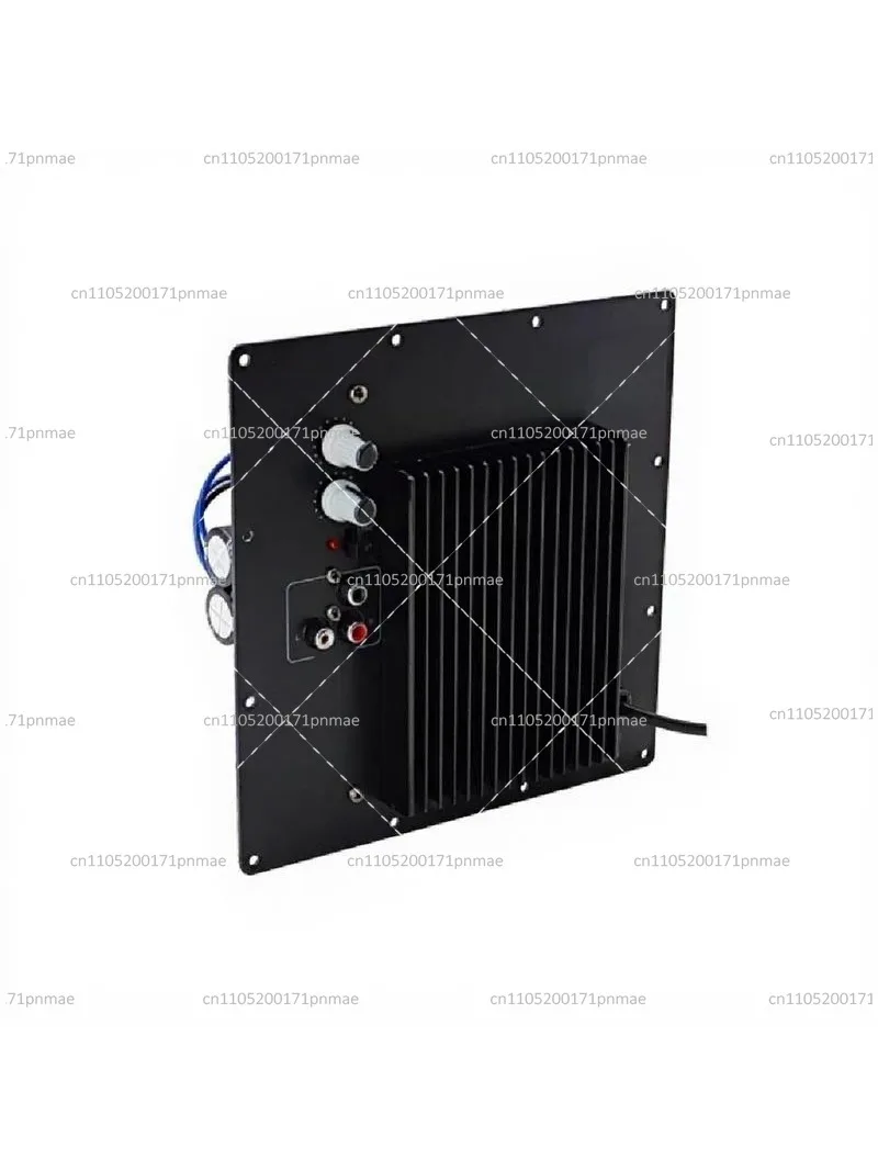 Active Subwoofer Power Amplifier Board 220V for Home Theater 10-Inch Speaker Coaxial Input