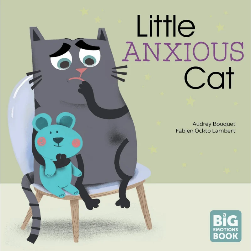 A Big Emotions BookLittle Anxious Cat Audrey Bouquet Sounds True 9781683648376 Book