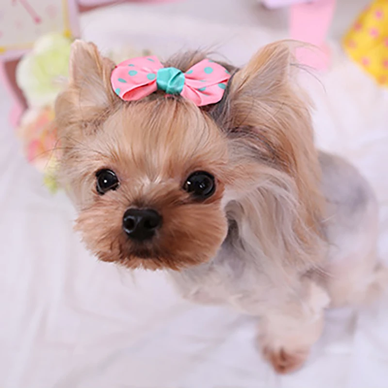 1PC Pet Puppy Dog Cat Hairpin Hair Bows Tie Dog Lace Hair Clips Pet Dog Grooming Pet Hair Accessories