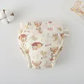 Little fox