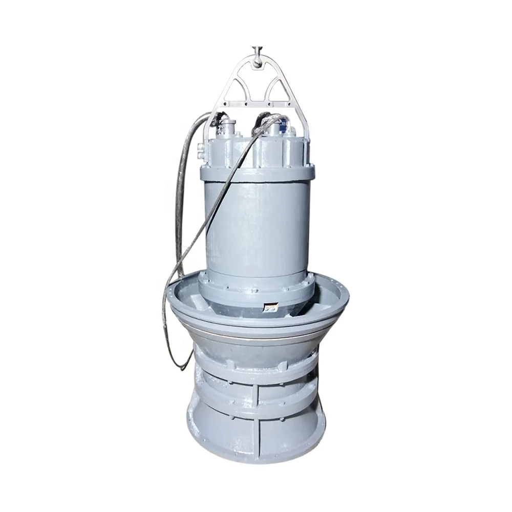 

Electric Centrifugal High Pressure Submersible Axial Flow Pump Agriculture Pump Water