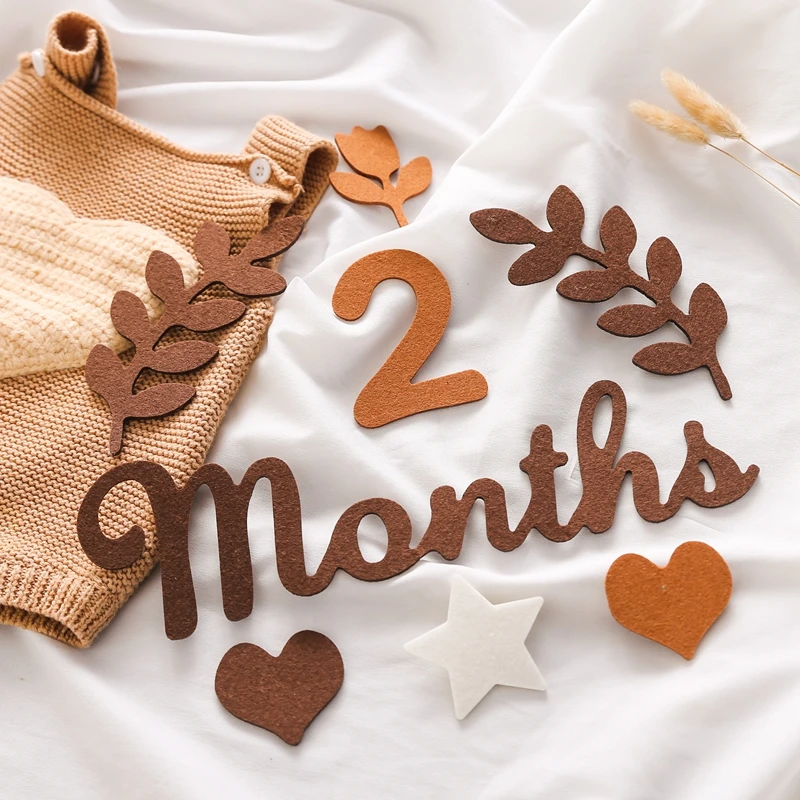 

Newborn Photography Props Felt 0 12 Month Baby Room Decorate Milestone Accessories Newborn Photography Shooting Prop Accessories