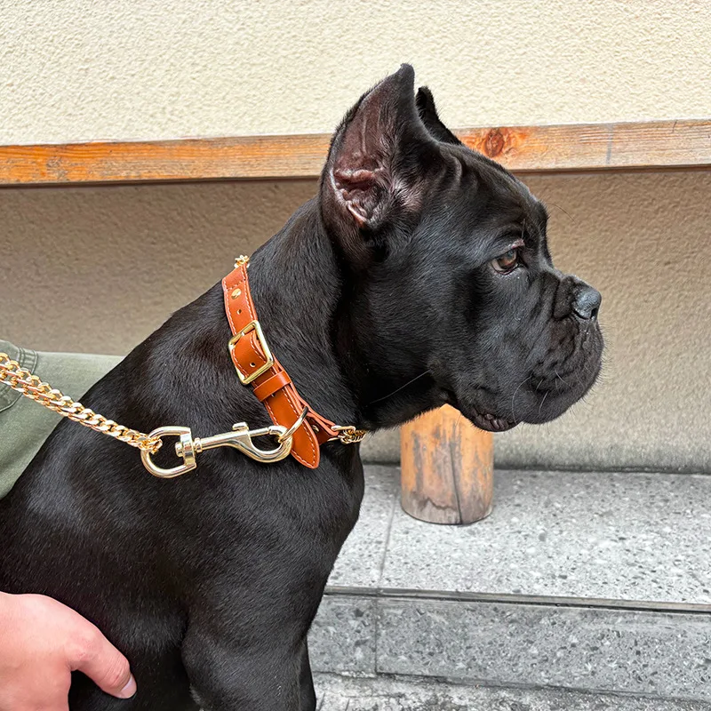 Loudik Wholesale Pet Collar Leash Anti-bite Dog Walking Rope Chain Explosion-proof Medium and Large Dog Pet Supplies Accessories view 2