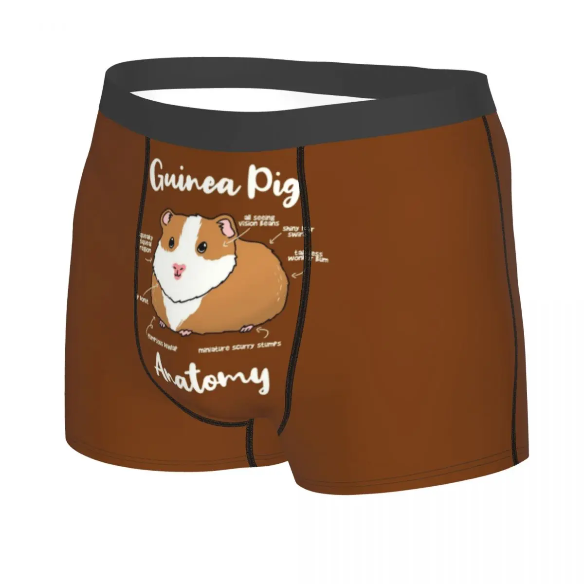 Custom Anatomy Of A Guinea Pig Boxer Shorts For Homme 3D Print Animal Underwear Panties Briefs Stretch Underpants