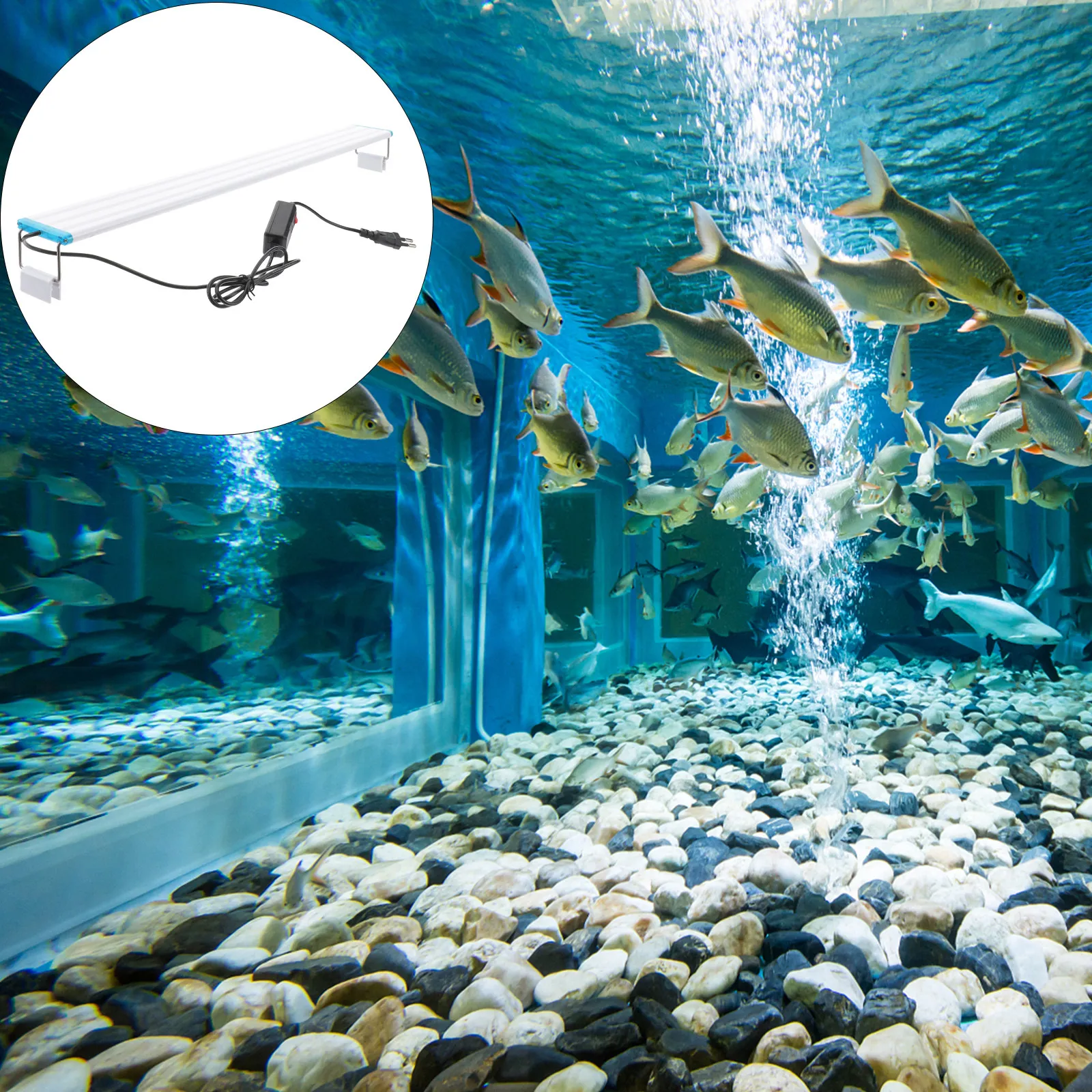 

1Pcs Aquarium LED Light for Fish Tank Plant Growth Strong Wear Resistant Buckle Mount Easy Clean High Penetration Lighting Lamp