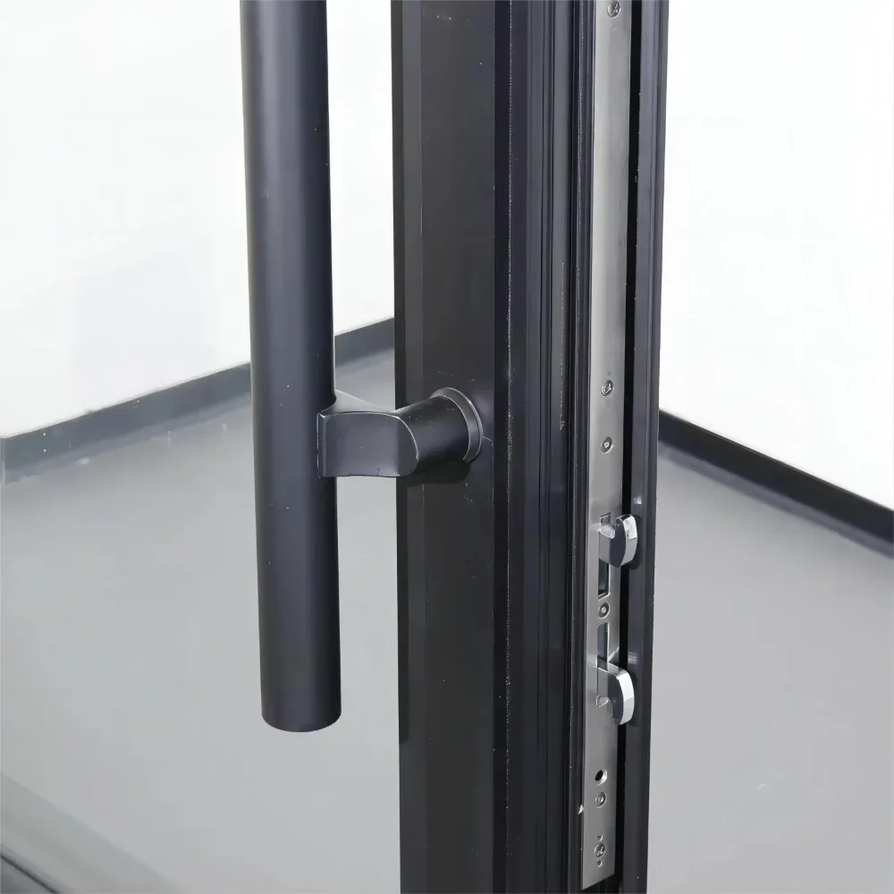 Glass Door Aluminum Profile Building Material Custom Made Entry Door Glass Iron Metal Frame Security Steel Pivot Door