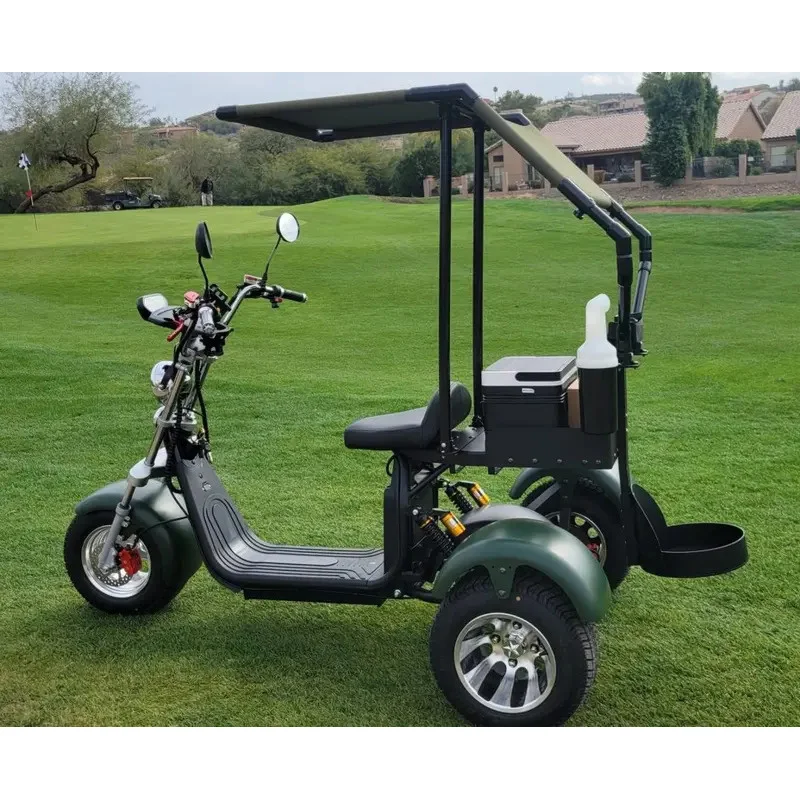 

ZAIQU australia market Great Quality Electric Club Car By 2 Wheel Mini Single Seat Electr trike