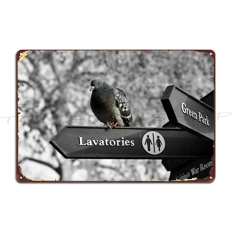 Trailblazing the Waves The Windsurfing Windsurfer Girl Metal Sign Wall Pub Wall Cave Party Bar Cave printed  Tin Sign Poster