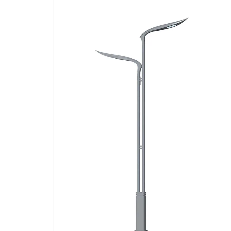 

Factory Direct Outdoor Waterproof LED Street Lights 6~12m with Aluminum Body IP65 Rating for Garden Road Landscape Lighting