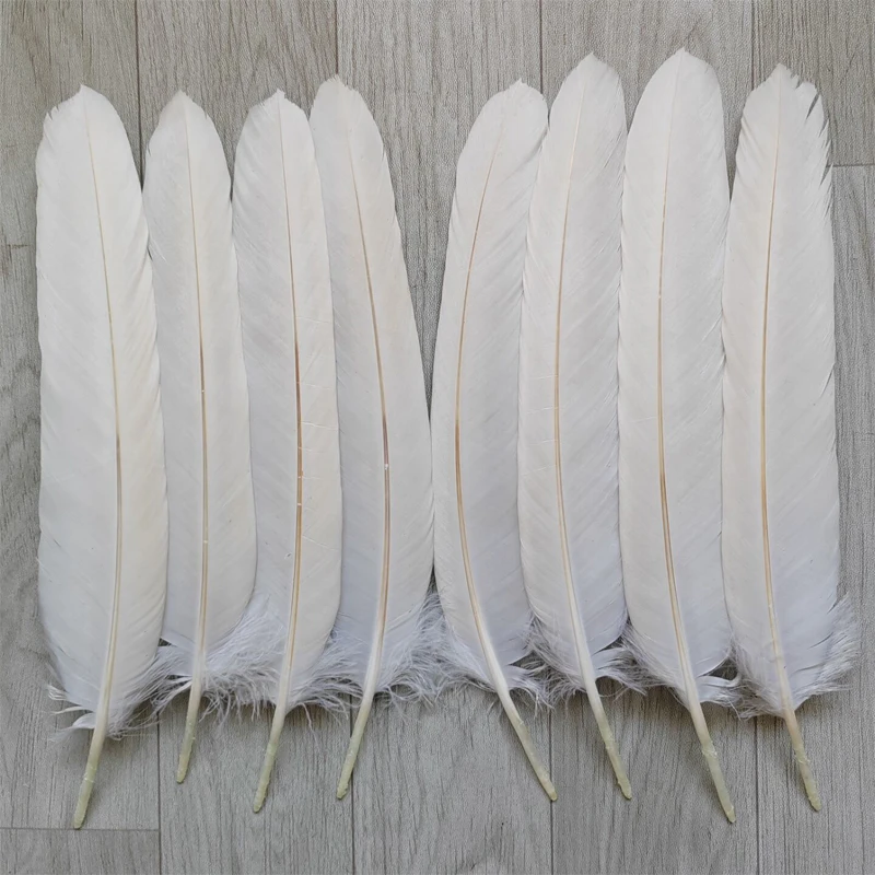 

Wholesale 10pcs Beautiful White Eagle Feathers Plumage Rare 40-50cm Celebration Clothing Decoration