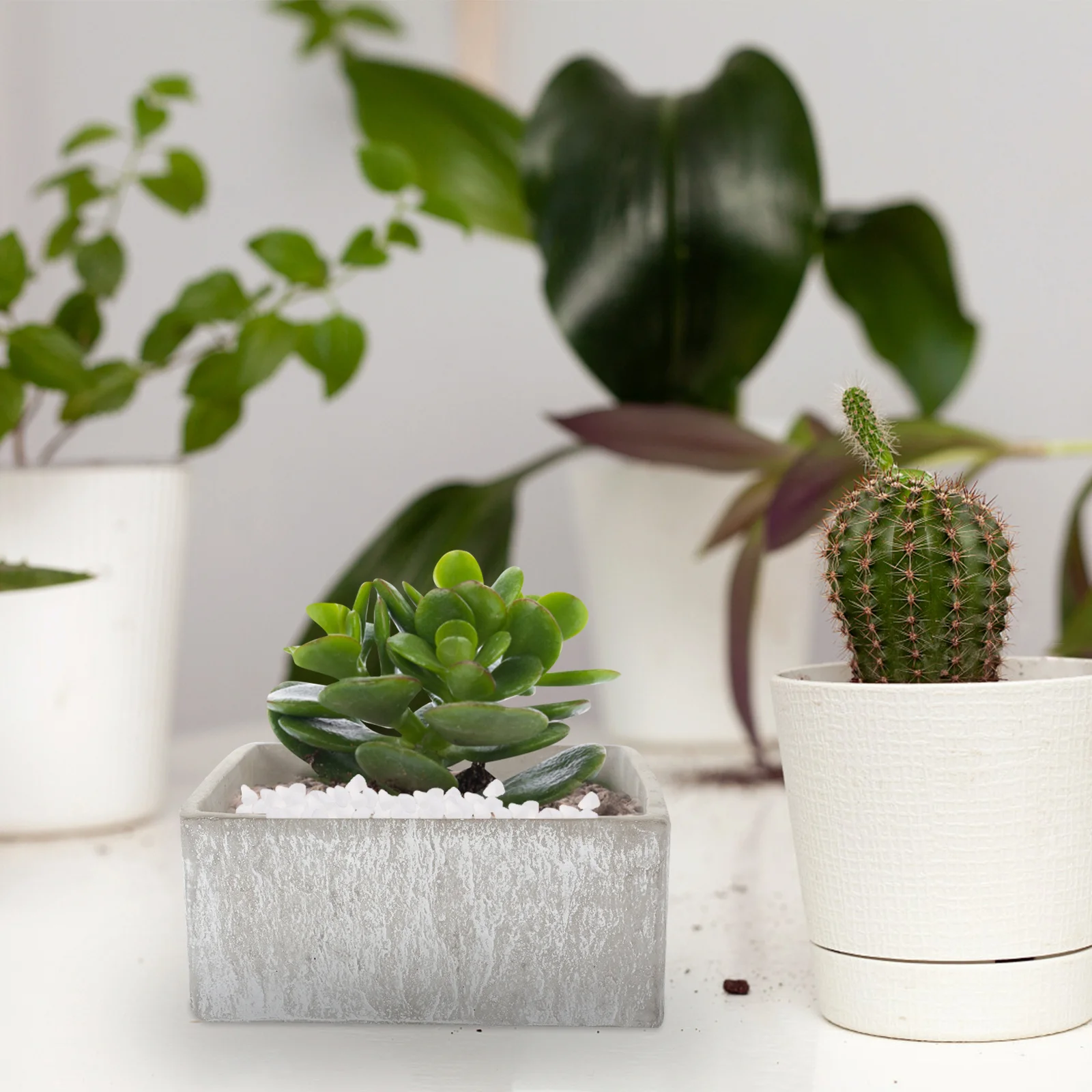 1 حقيبة 250 جرام أحجار الزخرفية الطبيعية لخزان الأسماك أصائص زرع حوض السمك الحصى تررم نهر الصخور الحصى المناظر الطبيعية البيضاء