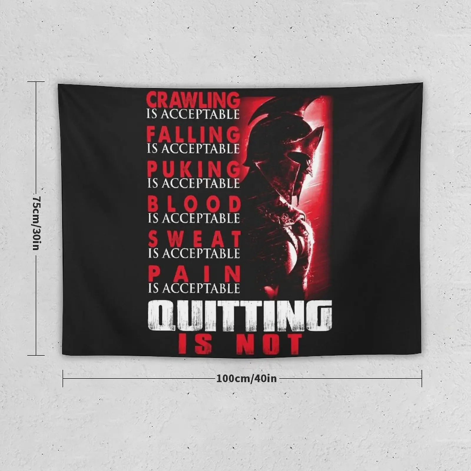 SPARTAN QUITTING IS NOT Tapestry Wall Decoration Wall Coverings Home Decor Accessories Aesthetic Room Decoration Tapestry