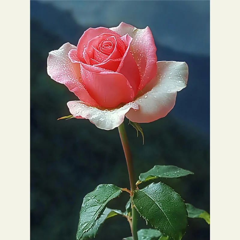 

Очаровательный набор для алмазной вышивки 5D «Розовая роза», мозаика с полной выкладкой для взрослых, праздничный подарок, настенное искусство для кабинета, спальни