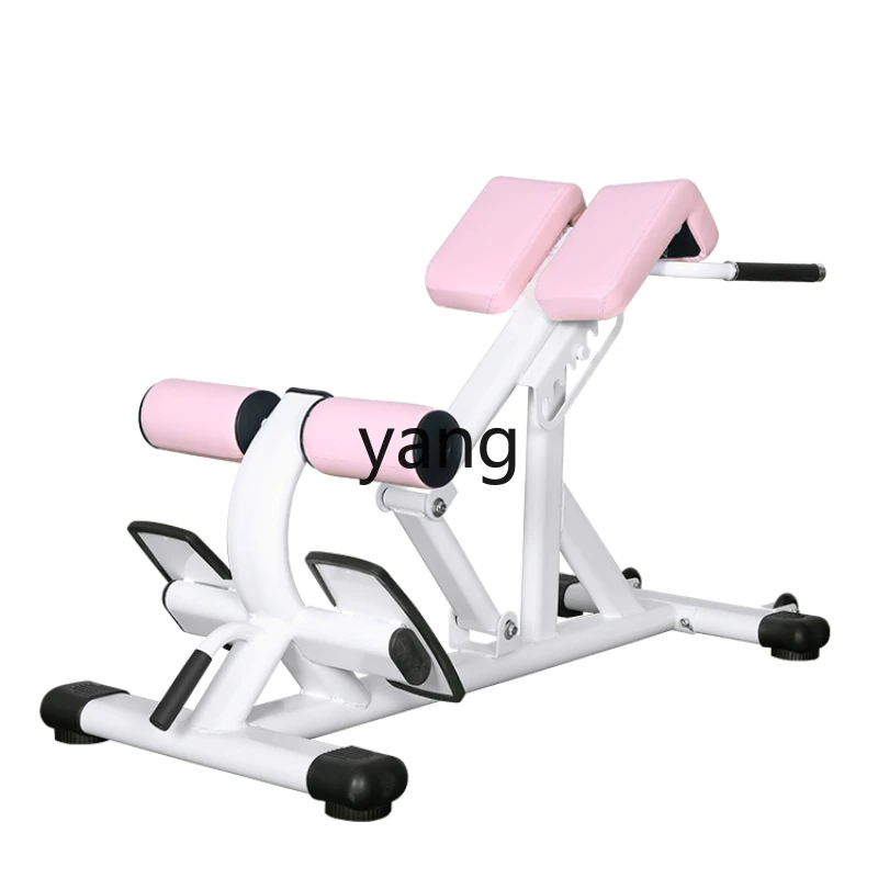 Yjq Commercial Roman Chair Back Hyperextension Multifunction Fitness Chair Waist Training Abdominal Fitness Equipment