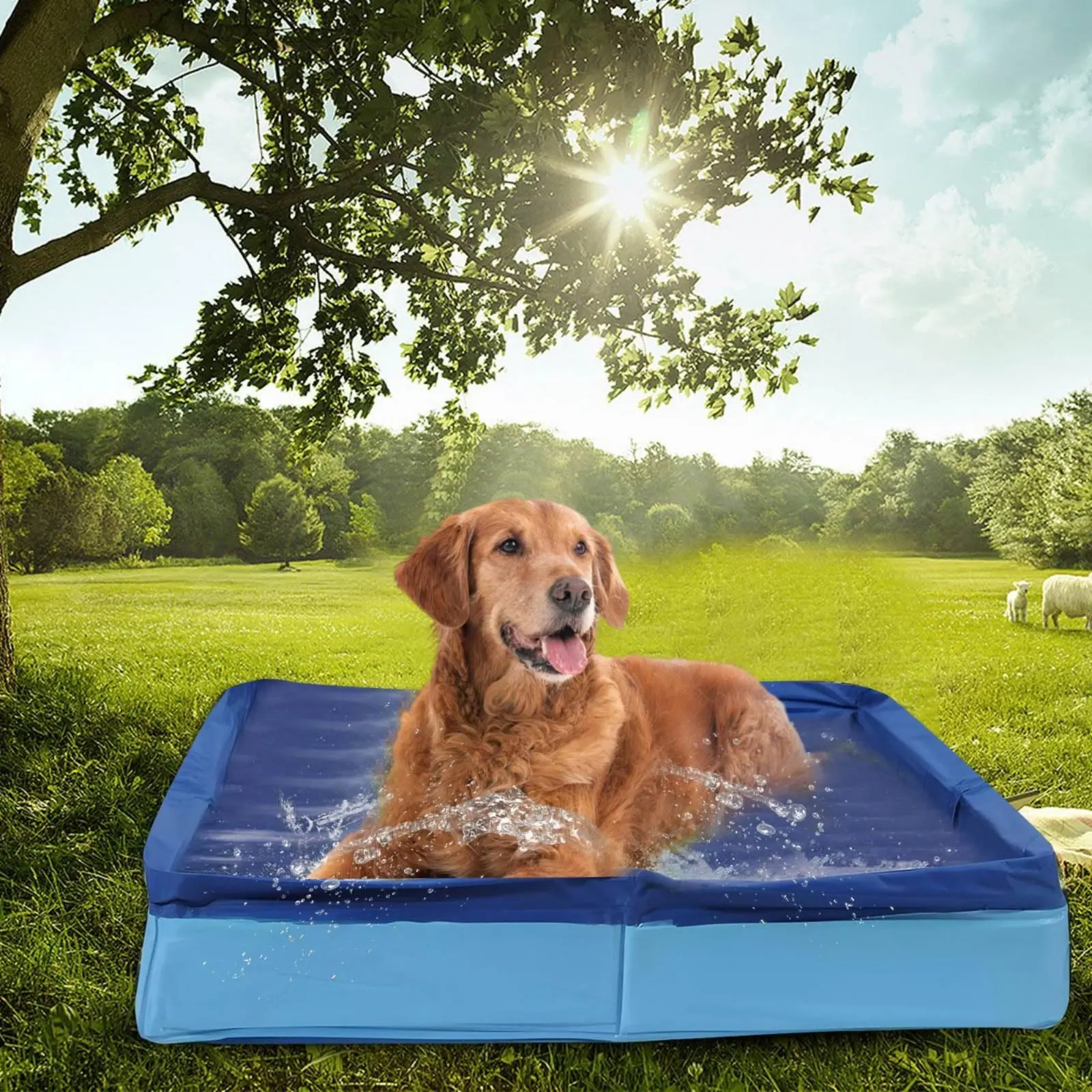 

Foldable Pet Bathing Tub Space-Saving Foldable Pet Bathtub Foldable Dog Pool Easy to Keep No Inflation Needed for Outdoor