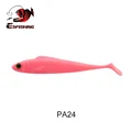 PA24
