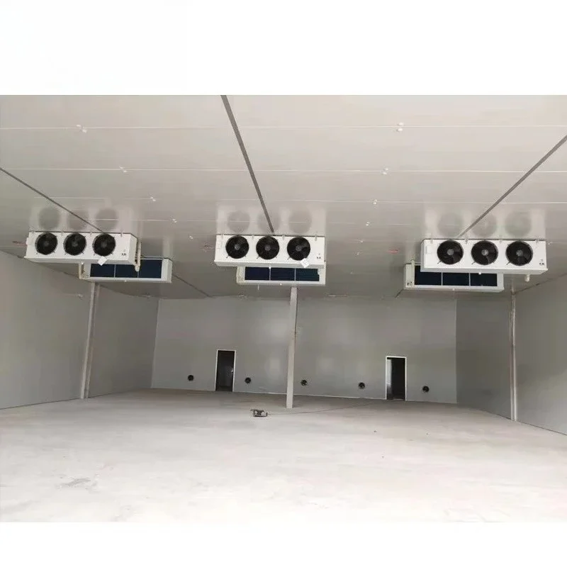 Customized Walk In Freezer Cold Storage Room Complete Refrigeration Equipment For Commercial Salmon Seafood