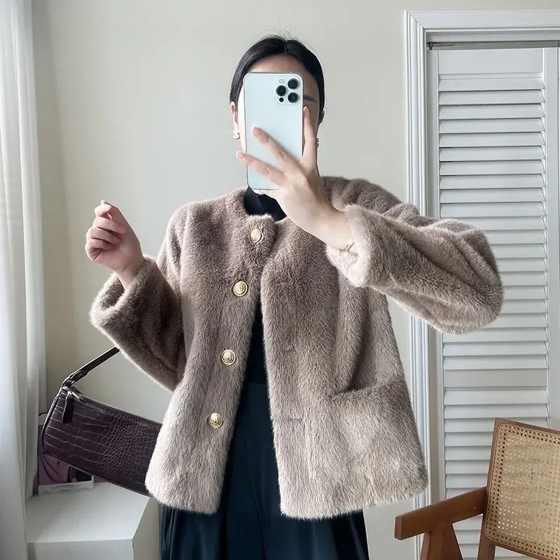 Manteau en Fausse Fourrure de Vison pour Femme, Vêtement d'Extérieur Court, Simple, Décontracté, Résistant, à la Mode, Col Rond, 2024