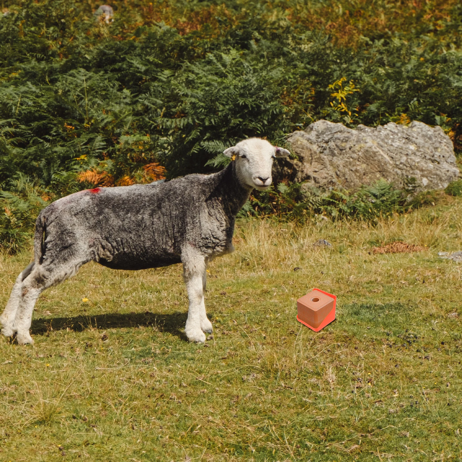 

Multifunctional Lick Brick Box Salt Block Holder for Cattle Sheep Livestock Thickened Easy Assembly Nutrient Feeding Tool Cow
