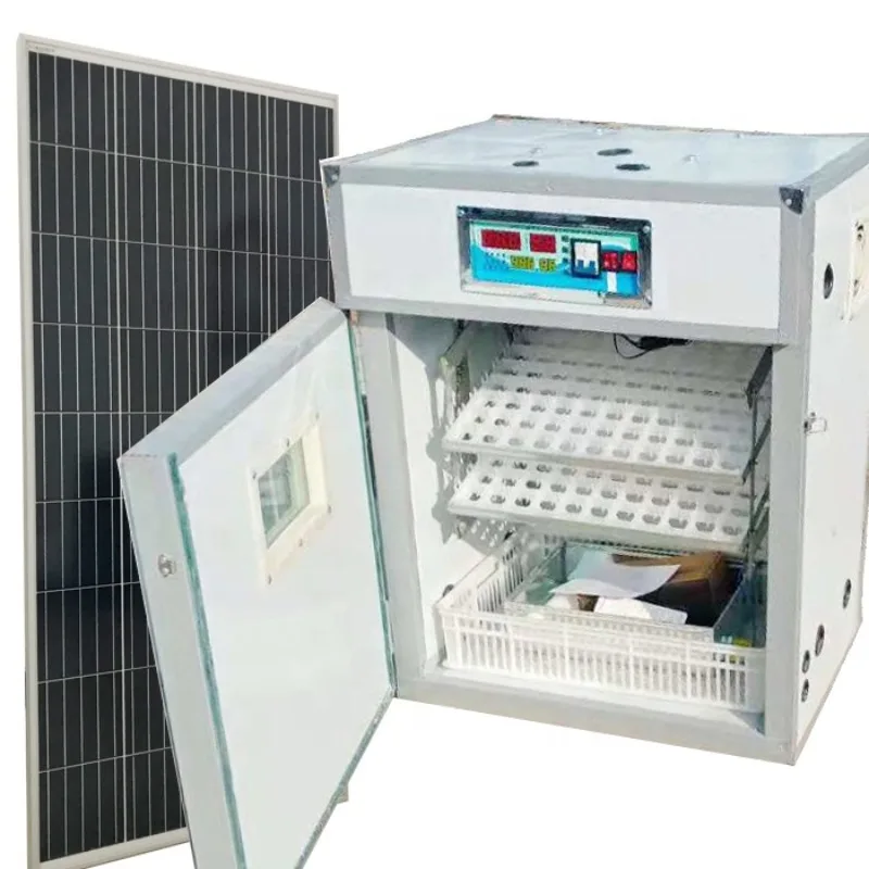 Fully Automatic Dual Energy Incubators Hatching Eggs Solar Powered Incubator