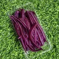 GD55 30pcs 04