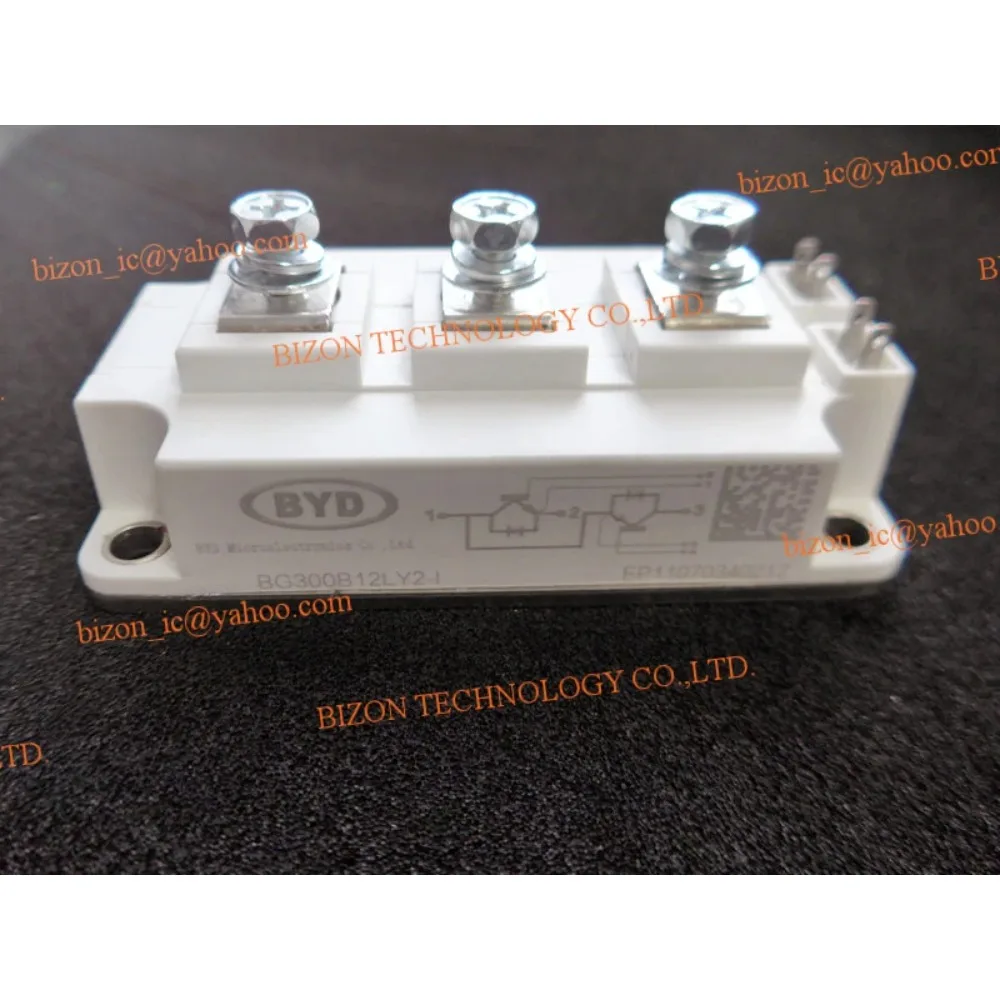 

BG300B12LY2-1