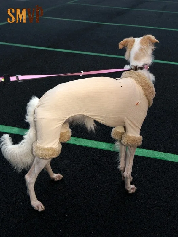 Traje de Invierno para Perro de Cuatro Patas, Tejido Elástico de Canalé, Cuello de Felpa, Térmico, Cálido, de Cobertura Completa, Cómodo para Mascotas