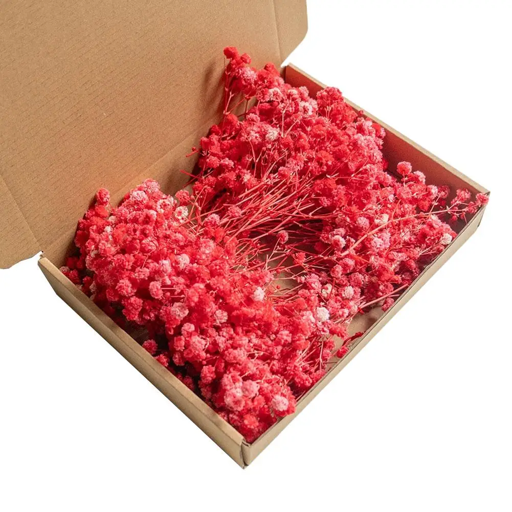 100 STKS Mini Gedroogde Gypsophila Bloem DIY Aromatherapie Valentijn Bruiloft Foto Prop Decor Home Decor Eeuwige Bloemen