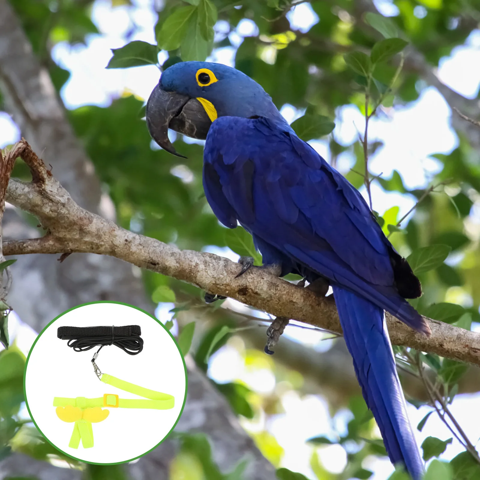 

Bird Fly Train Leash Pet Parrot Harness Set Adjustable Decorative Wings Design Comfortable Fit Small Birds Flying Control