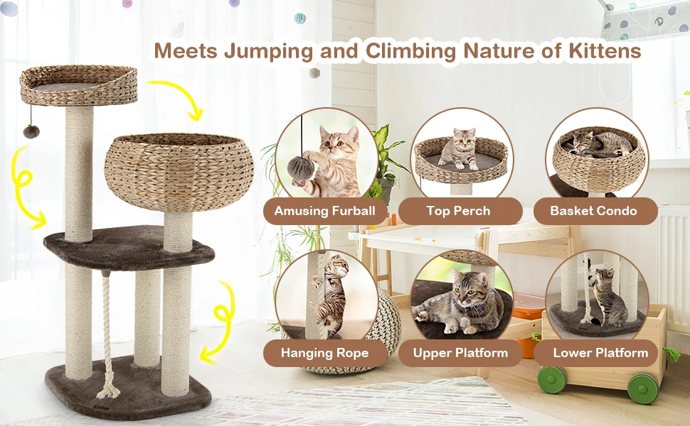 Cat Tree for Indoor Cats