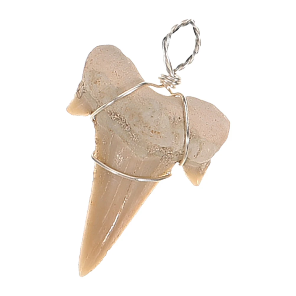 

Shark Tooth Pendant 2 25cm Silver Wire Charm Fossil Necklace Earring Bracelet DIY Supplies Teeth Jewelry Making Crafts