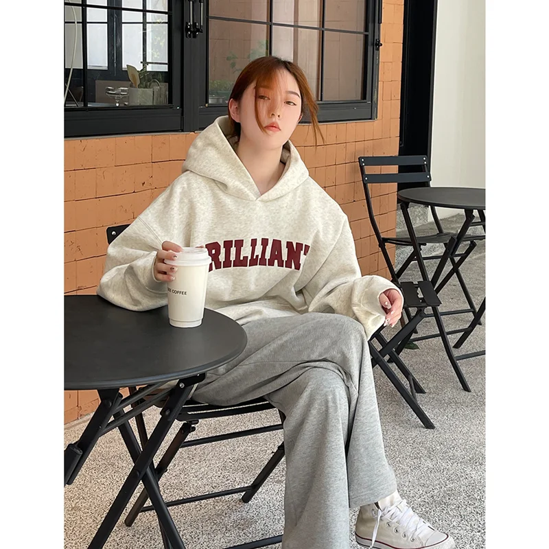 2024 White Gray Women Clothing Vintage Street Sweatshirt Hooded Y2K Letter Pullover Long Sleeves Warm Oversize Baggy Ladies Tops