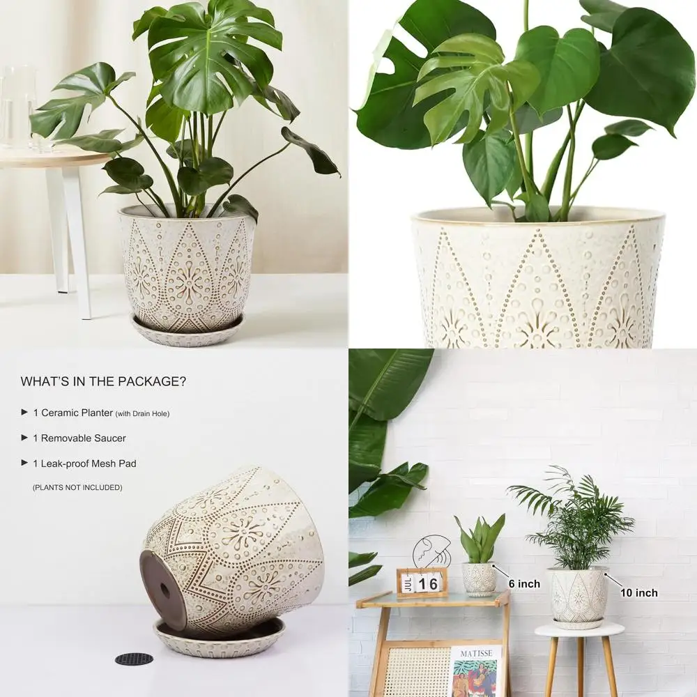 

10 кремово-белых цветочных горшков Gepege с дренажом и поддоном, подходят для комнатных и уличных растений