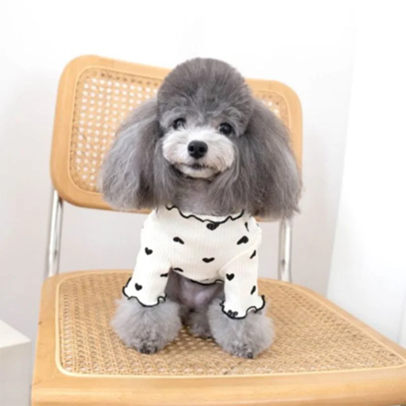 中小サイズのペット服,子犬,チワワ,春と秋に向けた愛らしい綿のセーター