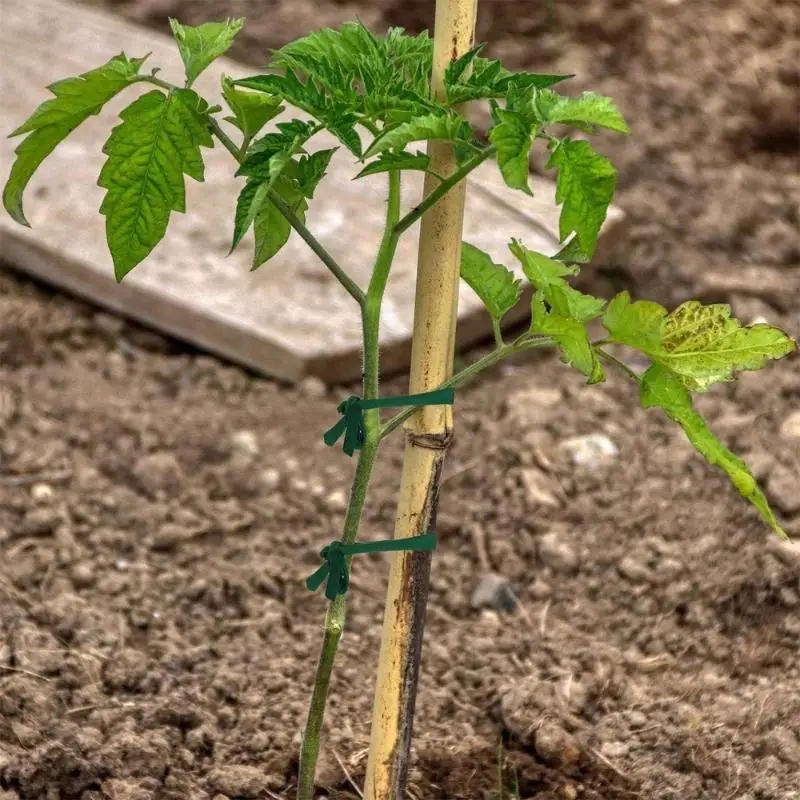 Green Garden Rope Cloth Strip Plant Support Tie Used For Cable Sorting In Garden Offices And Home