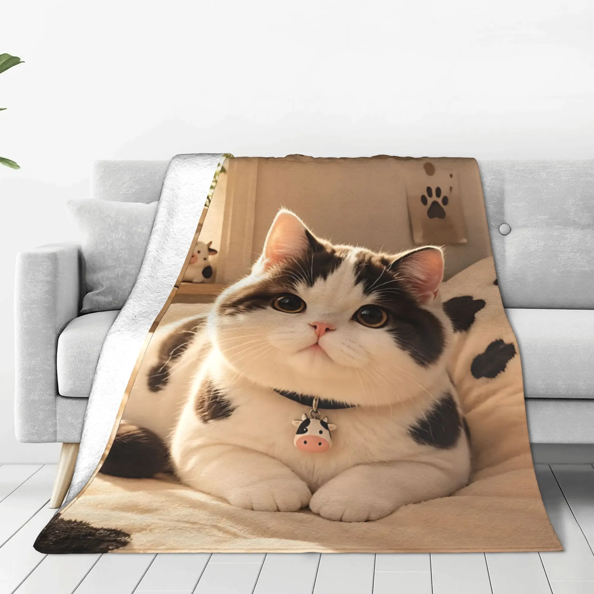 1PC Home British Shorthair Cat Blanket Throw Blanket  Novelty Warm Blanket All Season Gift for Happy Halloween Give Thanks